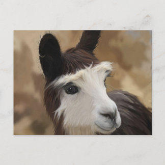 Choklad och vit Alaca Vykort