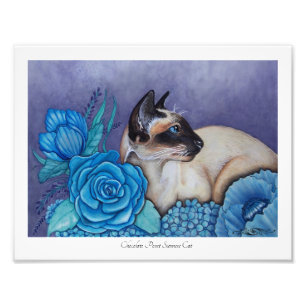 Choklad Point Siamese Foto Print