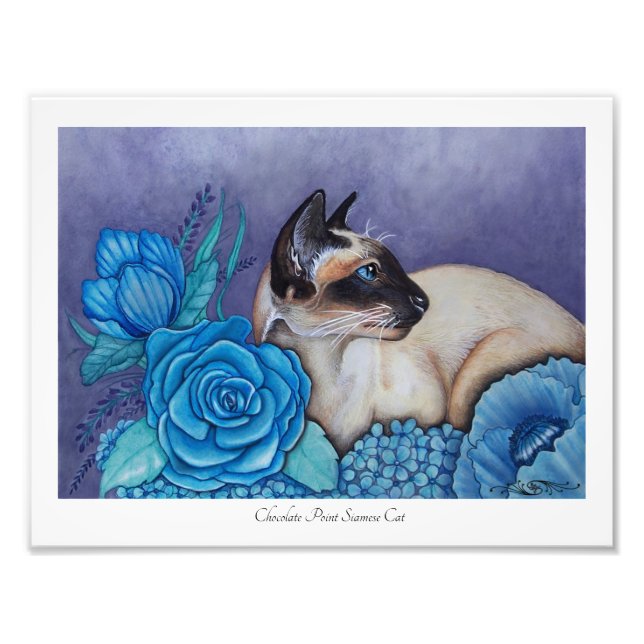 Choklad Point Siamese Foto Print (Framsidan)