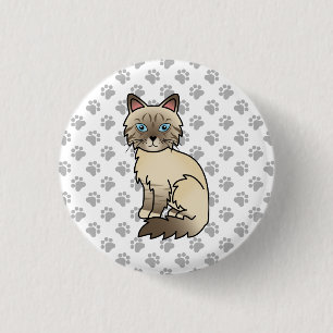 Choklad Point Tabby Birman / Ragdoll Katt & Klor Knapp