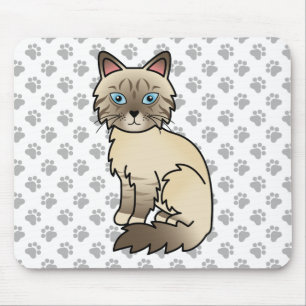 Choklad Point Tabby Birman / Ragdoll Katt & Klor Musmatta