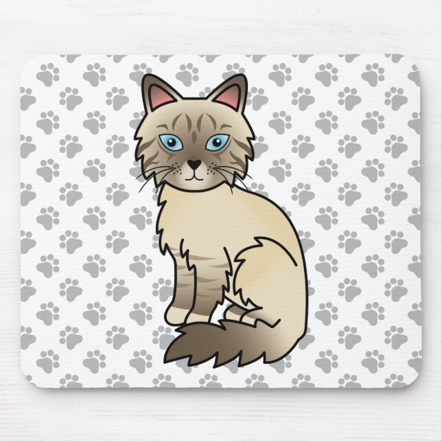 Choklad Point Tabby Birman / Ragdoll Katt & Klor Musmatta (Framsidan)