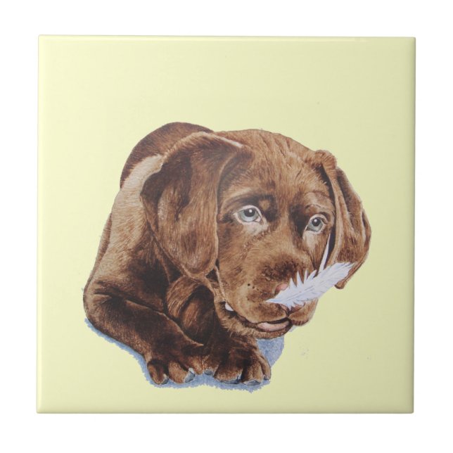 choklad - rolig hund bild för brun labrador valp kakelplatta (Framsidan)