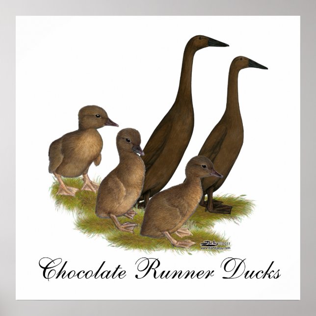 Choklad Runner Anka Familj Poster (Framsidan)