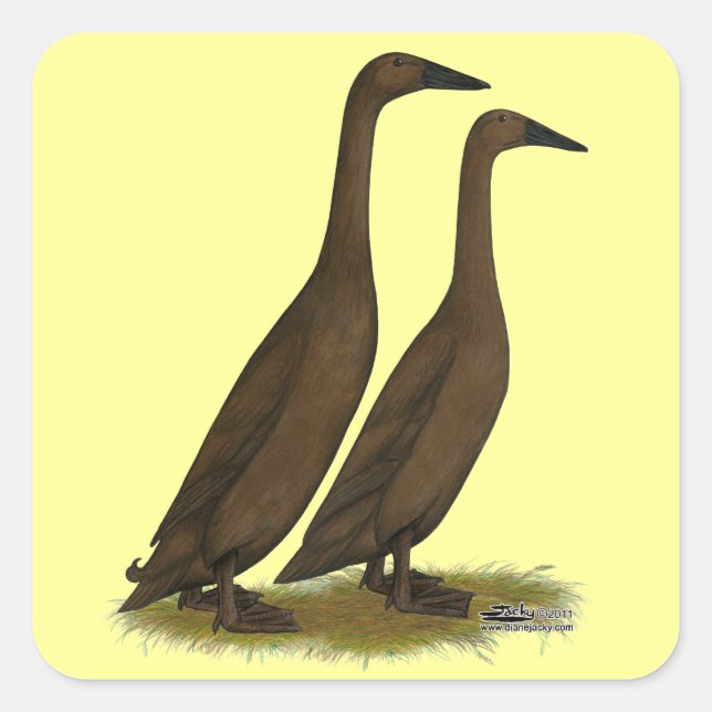 Choklad Springer Anka Fyrkantigt Klistermärke (Framsida)