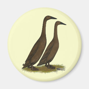 Choklad Springer Anka Magnet