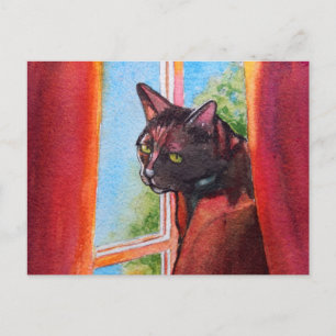 Choklad, svart katt med gardiner vykort