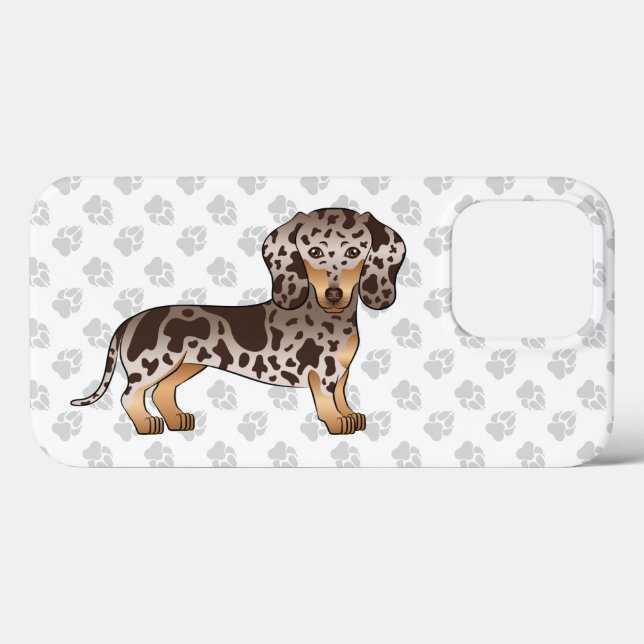 Choklad & Tan Dapple Korthårig Dachshund & Tassar (Baksida (horisontell))
