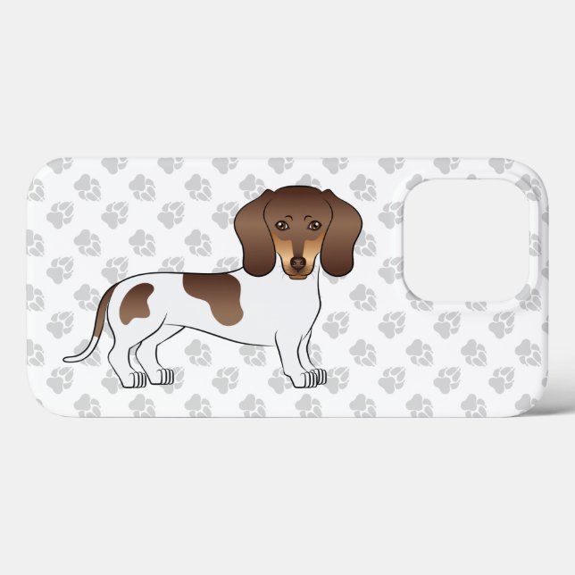Choklad & Tan Pied Korthårig Dachshund & Tassar (Baksida (horisontell))