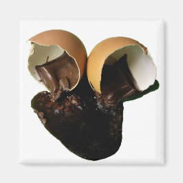 Chokladägg för nybörjare magnet