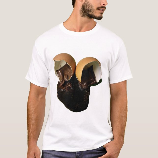 Chokladägg för nybörjare t shirt (Framsida)