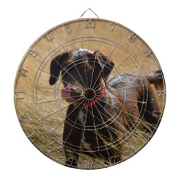 Chokladbrun Labrador Retriever Darttavla