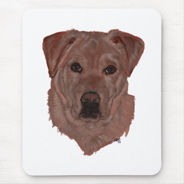 Chokladbrun labrador retriever musmatta (Framsidan)