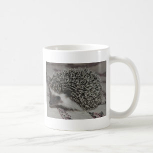 chokladigelkottbebis kaffemugg