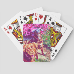 chokladlabb casinokort