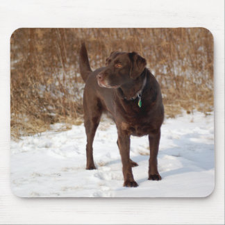 Chokladlabb Mousepad Musmatta