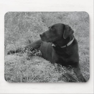 Chokladlabb Mousepad Musmatta