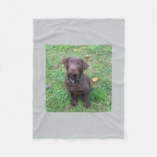 chokladlabb pup.png fleecefilt