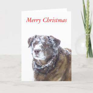 Chokladlabbet i snö, God jul Helgkort