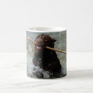 Chokladlabbmugg Kaffemugg