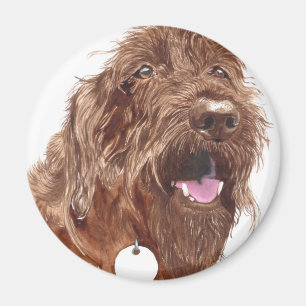 ChokladLabradoodle #1 magnet