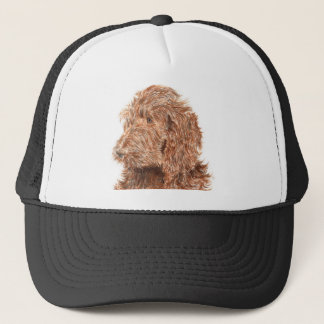 ChokladLabradoodle #2 lock Keps