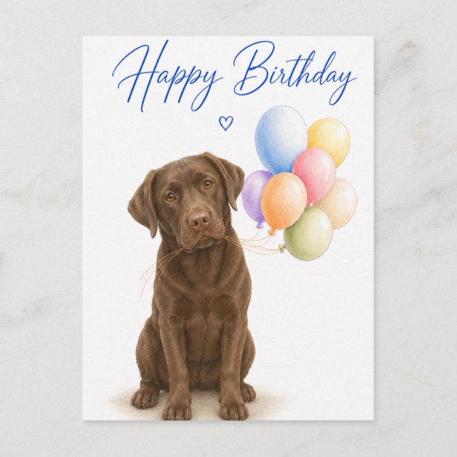 Chokladlabrador Födelsedag Vykort (Framsida)