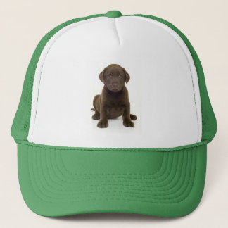 ChokladLabrador hatt Truckerkeps