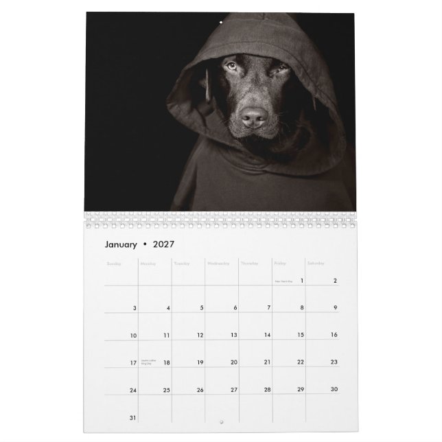 ChokladLabrador kalender 2010 (Jan 2027)