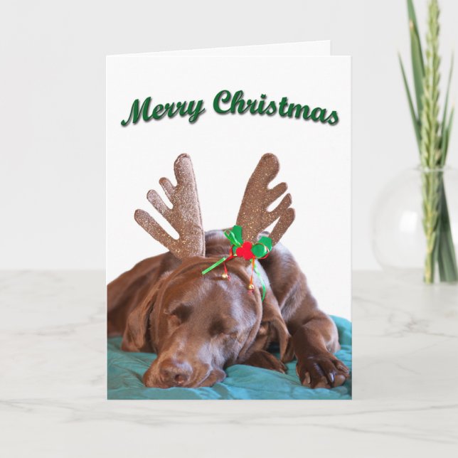 Chokladlabrador med horn Fotografi Anpassat Helgkort (Framsida)