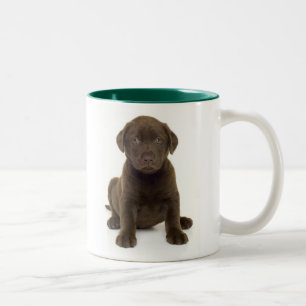 ChokladLabrador mugg