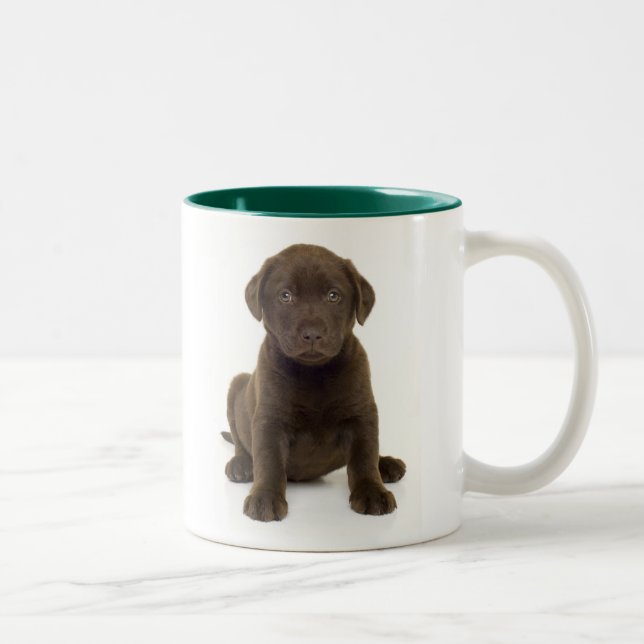 ChokladLabrador mugg (Höger)