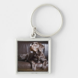 ChokladLabrador Retriever Fyrkantig Silverfärgad Nyckelring