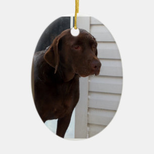 ChokladLabrador Retriever Julgransprydnad Keramik