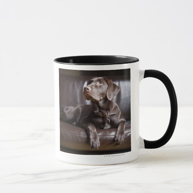 ChokladLabrador Retriever Mugg (Höger)