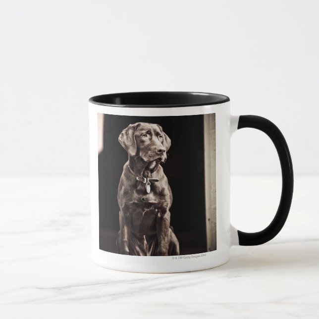 ChokladLabrador Retriever Mugg (Höger)