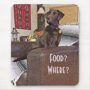 ChokladLabrador Retriever på stol Musmatta