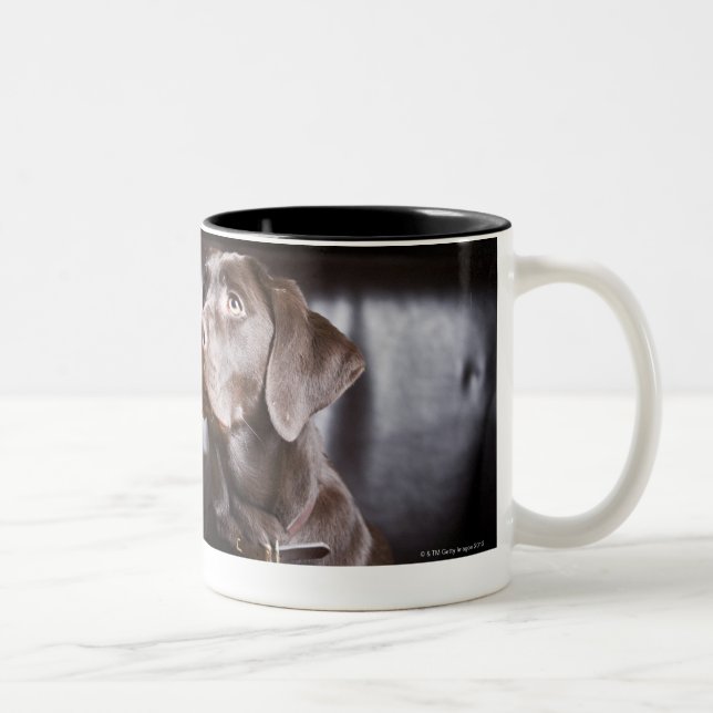 ChokladLabrador Retriever Två-Tonad Mugg (Höger)