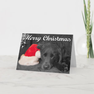 Chokladlabrador sover nära tomteluva fotografi helgkort