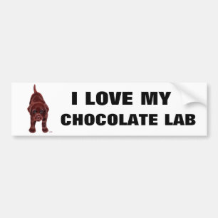 ChokladLabrador valp Bildekal