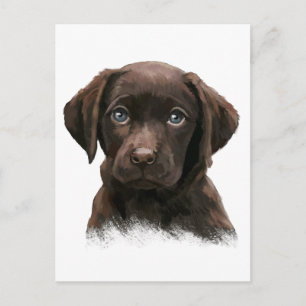 Chokladlabrador Vykort