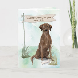 Chokladlampa-Grattisar på ny Hund Kort