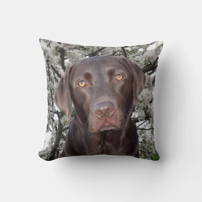 Chokladlampa Kudde (Framsida)