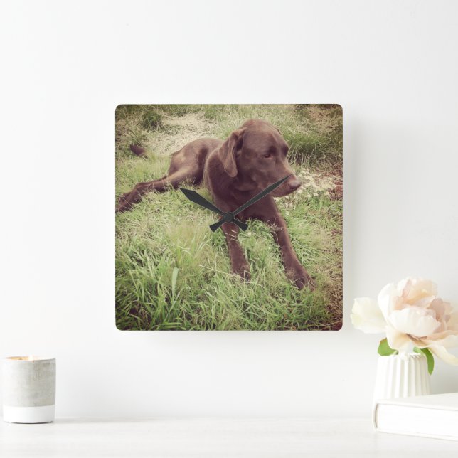 Chokladlampa Ljugande i grassfoto Fyrkantig Klocka (Hem)