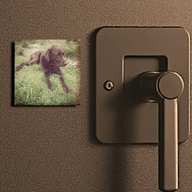 Chokladlampa Ljugande i grassfoto Magnet (2" square magnet)