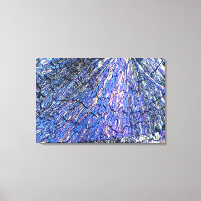 Cholesterol Crystals visat i polariserat ljus 2 Canvastryck (Framsida)