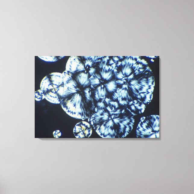 Cholesterol Crystals visat i polariserat ljus Canvastryck (Framsida)