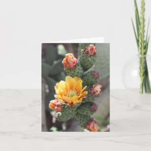 Cholla blomma kort