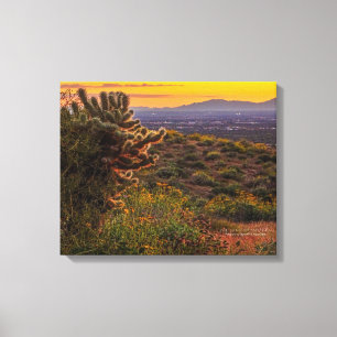 Cholla Cactus Desert Flowers Arizona Sunset 20x16 Canvastryck