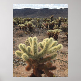 Cholla Cactus Joshua Träd Park Photo Poster